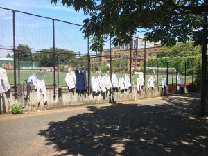 記事に添えられた写真