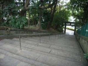 記事に添えられた写真