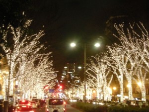 dscn19762