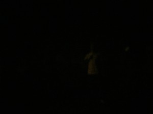 記事に添えられた写真
