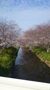 記事に添えられた写真