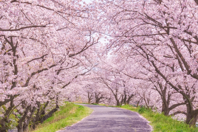記事に添えられた写真