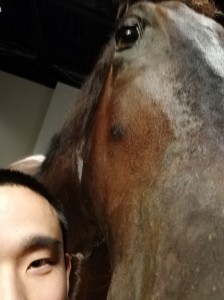記事に添えられた写真
