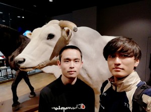 記事に添えられた写真