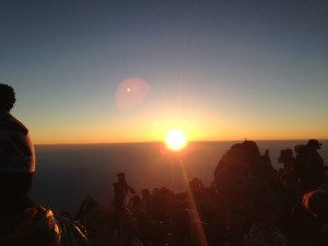 記事に添えられた写真