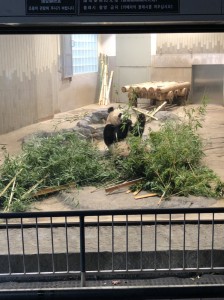 記事に添えられた写真